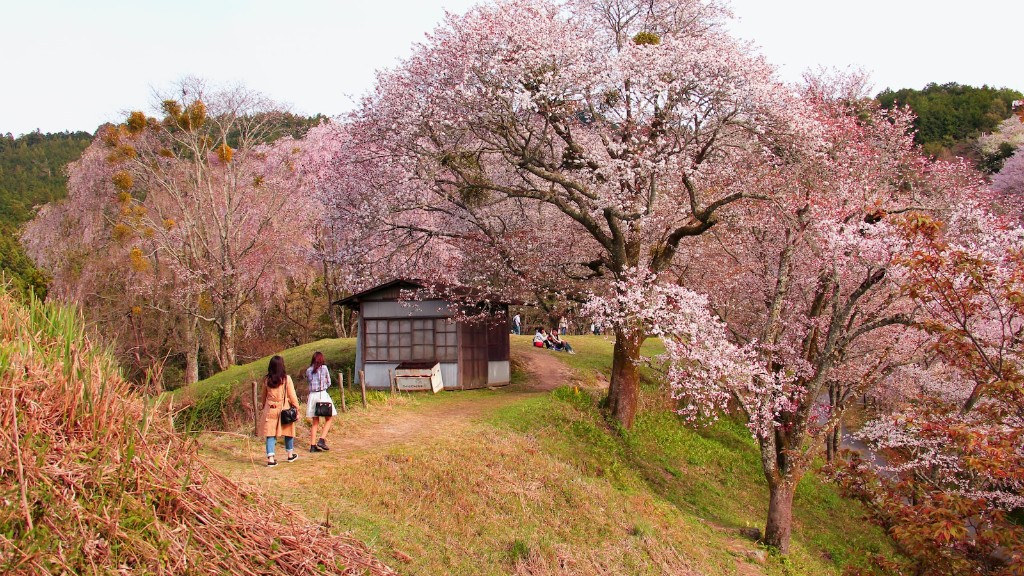 Тематический парк «Путешествия Гулливера» в Японии
